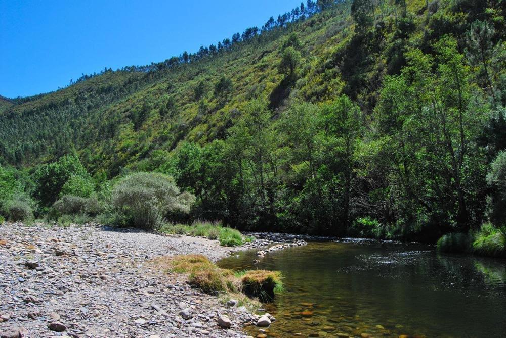 O Pardieiro - Aldeia Da Paradinha Com Praia Fluvial Extérieur photo